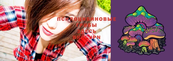 стафф Бородино