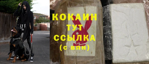 гашик Бронницы