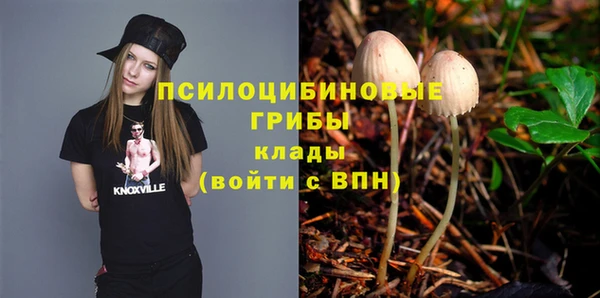 гашик Бронницы